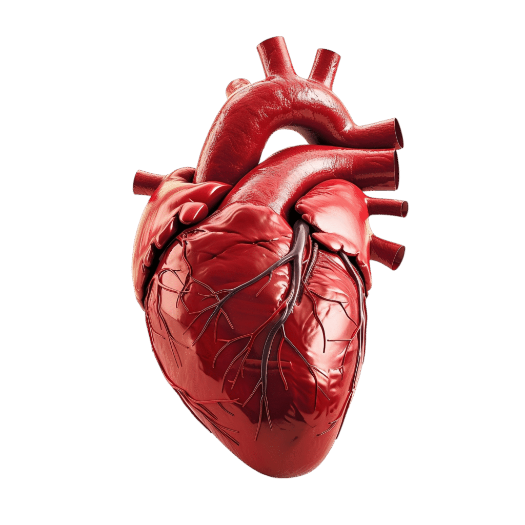 Cardiologist in Gwalior